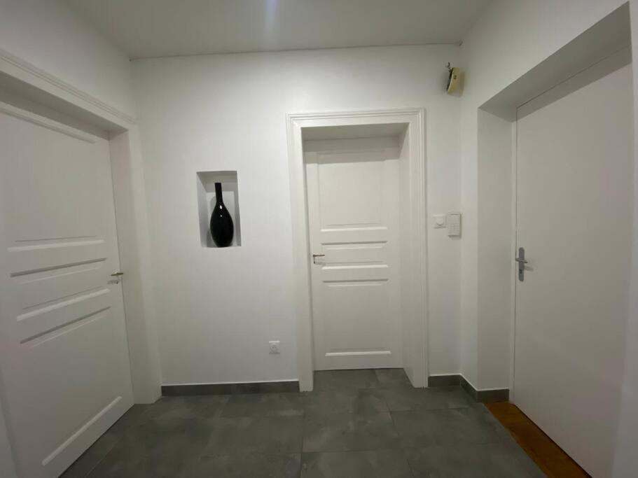 Le Confort D'Un Appartement Schiltigheim Esterno foto