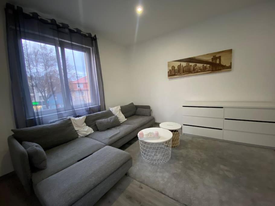 Le Confort D'Un Appartement Schiltigheim Esterno foto